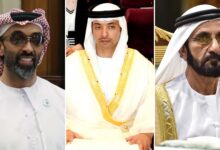 Behind the Fall: Are Emirati Figures Being Sacrificed to Shield a Larger Scandal? 
