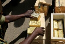 Dark Box Investigation: Sudan’s Stolen Gold — How the RSF War Economy Feeds Dubai While a Deadly New Front Opens on Egypt’s Border